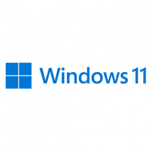 WIN 11 HOME 64BIT SPANISH 1PK DSP OEI D VD